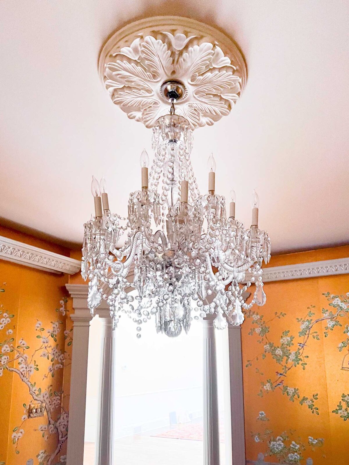 Dining room with gold botanical wallpaper, a ceiling medallion, and a chandelier